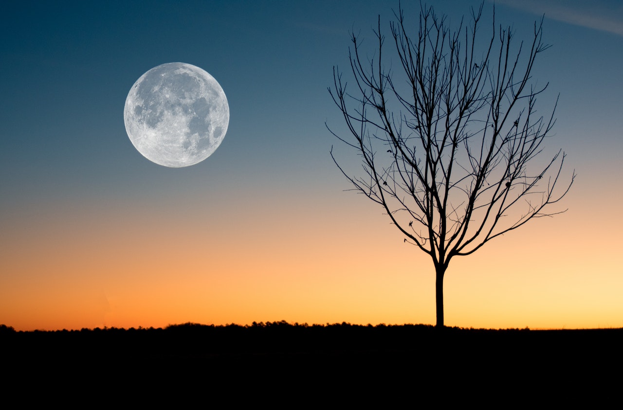lune et potager