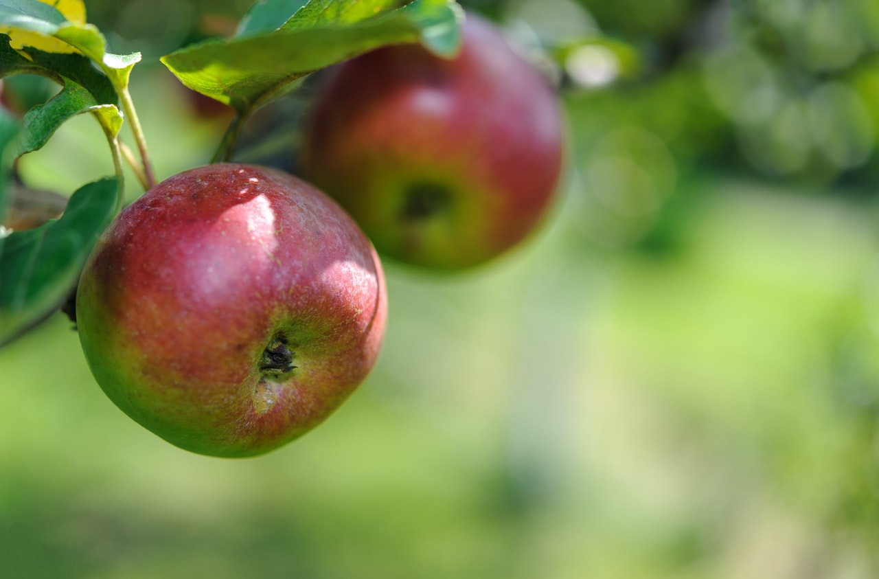 pomme